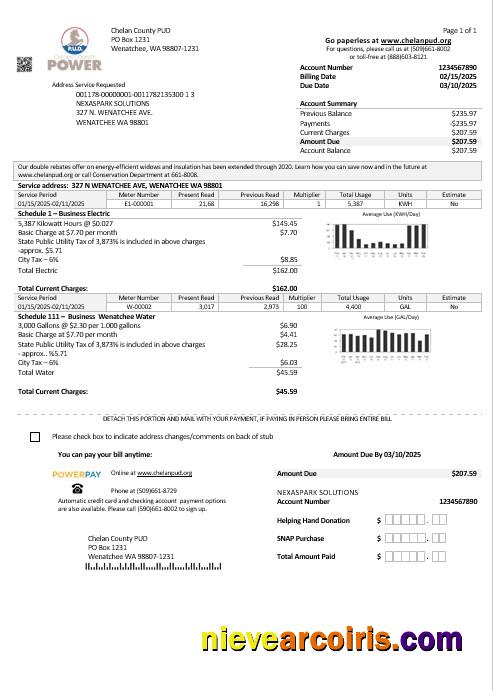 USA Washington Chelan County PUD business utility bill
